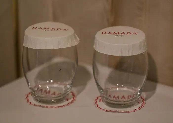 Ramada By Wyndham 尼代